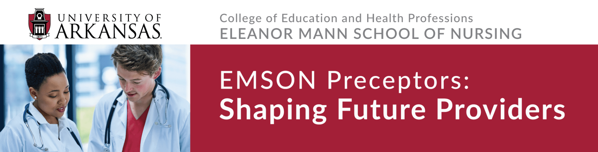 Masthead reads EMSON DNP Preceptors: Shaping Future Providers